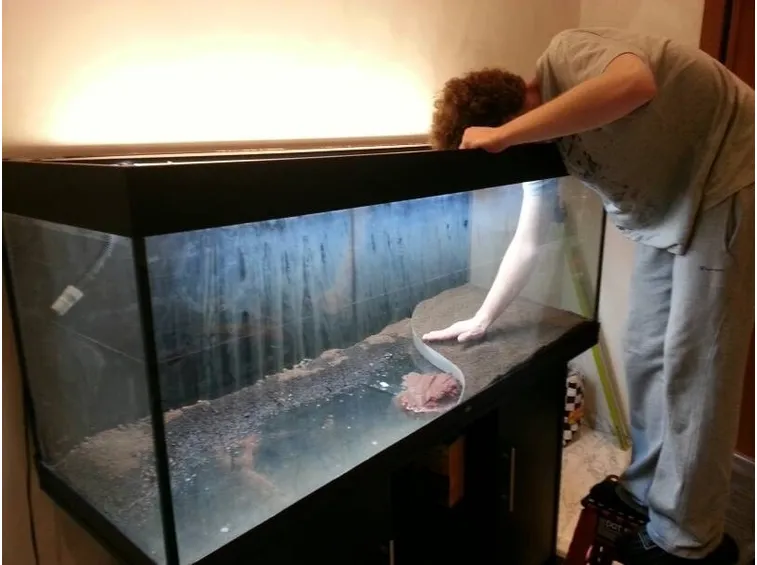 Meticolosa pulizia acquario
