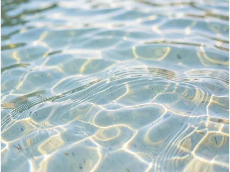 Acqua Per Acquario