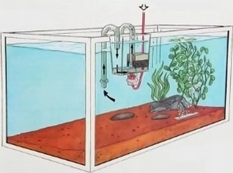 Acquario Filtro