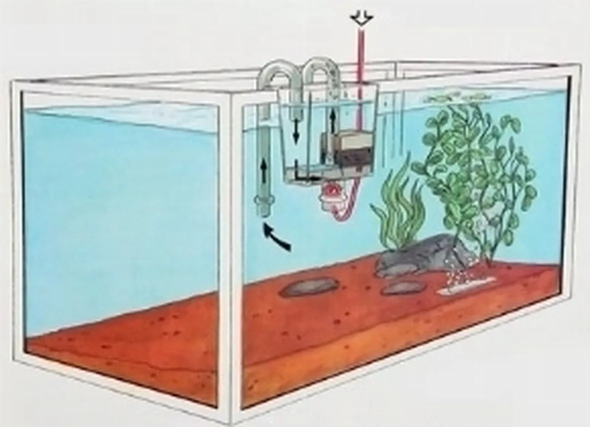 Acquario Filtro