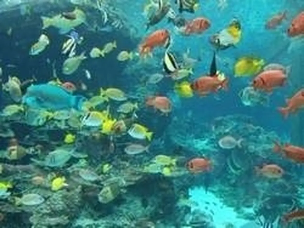 Acquariologia