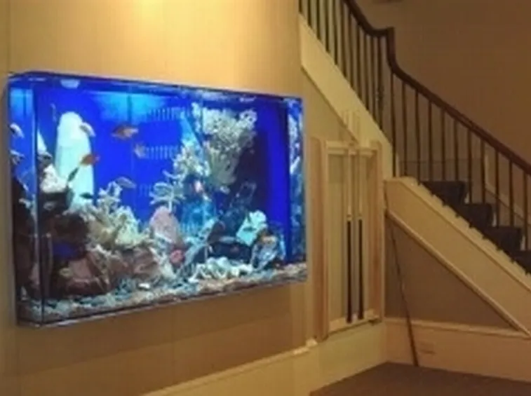 Costruire Un Acquario