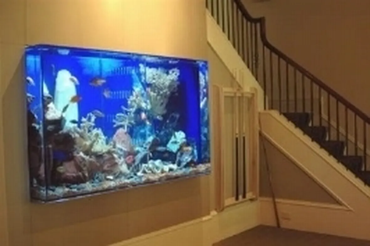 Costruire Un Acquario