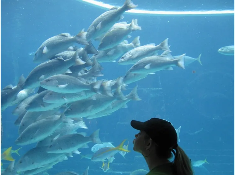 Plafoniera per acquario