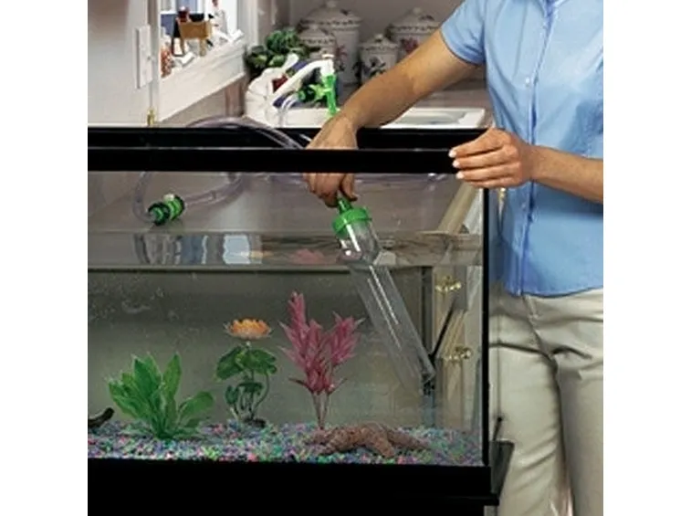 Pulizia Acquario