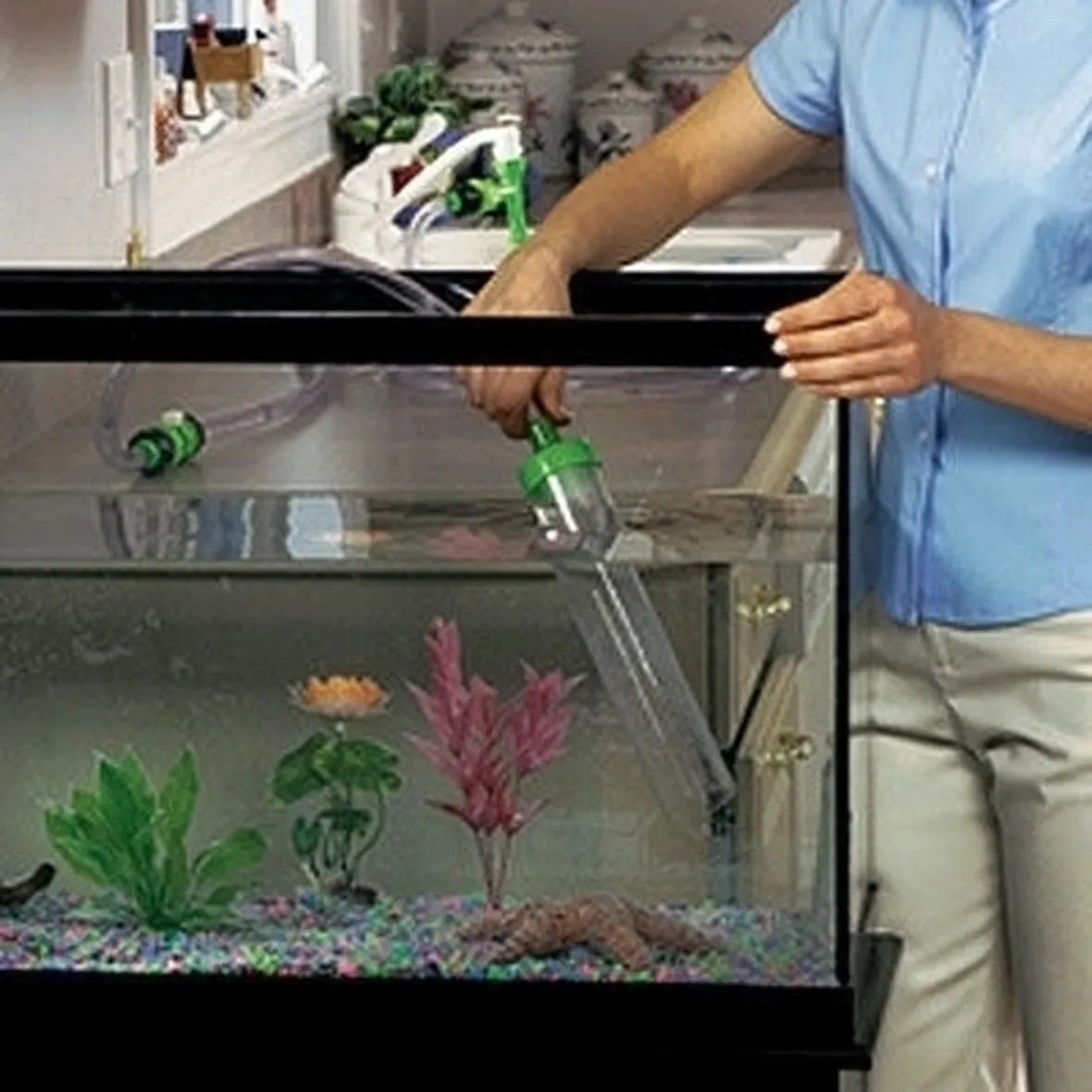 Pulizia Acquario