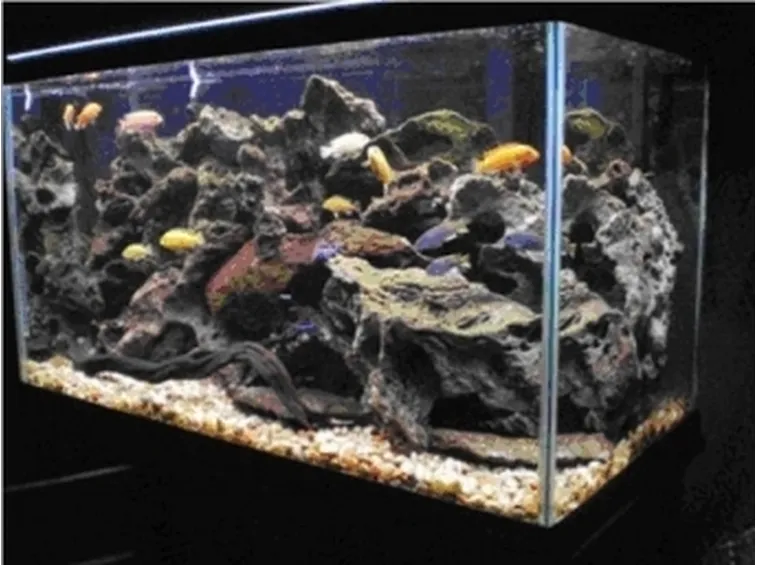 Rocce per acquario