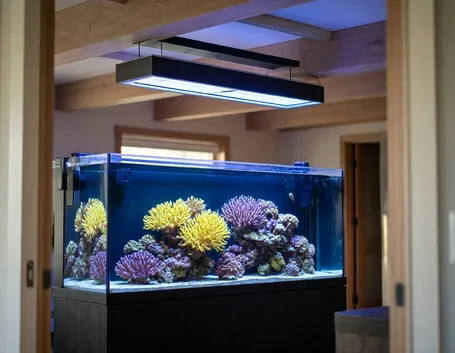 Schema plafoniera LED per acquario