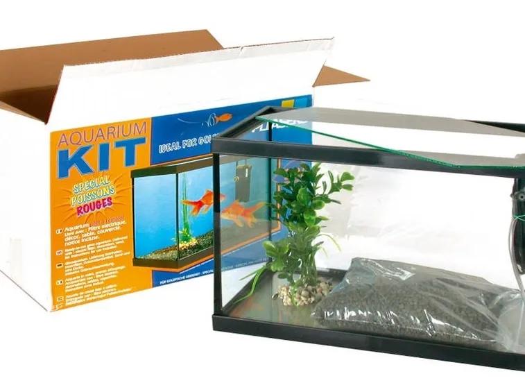 kit acquario pesci rossi
