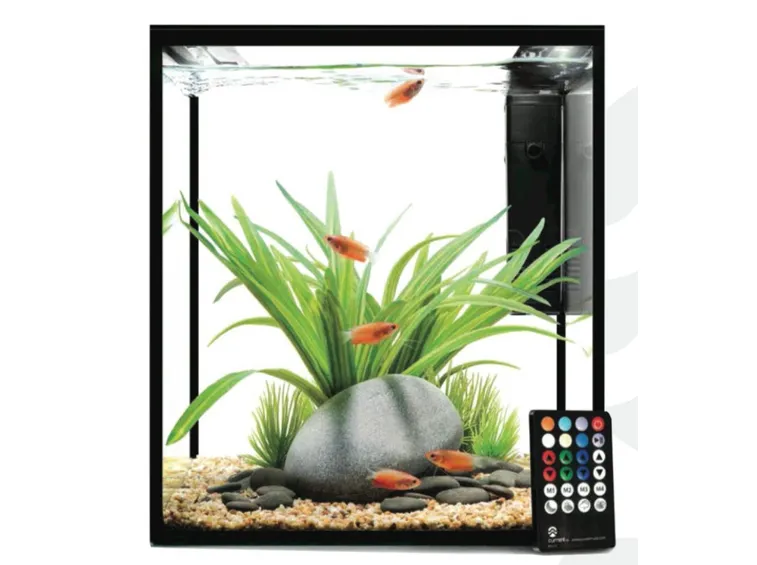 acquario per pesci rossi