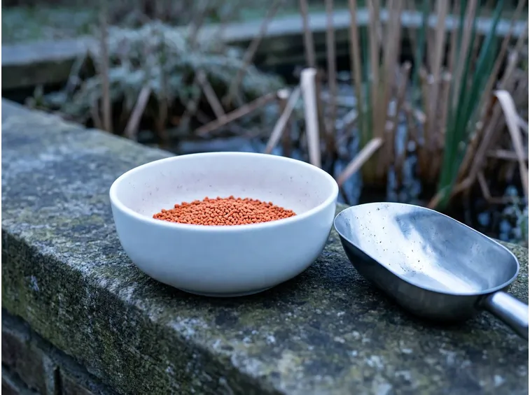 Alimentazione di transizione: come far fare scorta ai pesci