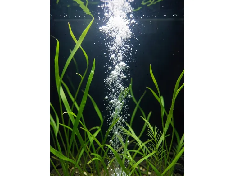 Aeratore acquario