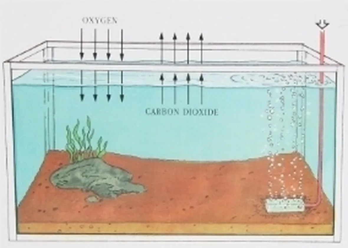 Aeratore acquario