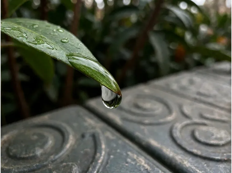 Come avviene il contagio: urine infette, acqua ferma e piccole ferite