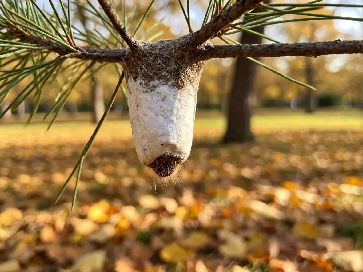 Perché il rischio è alto in autunno