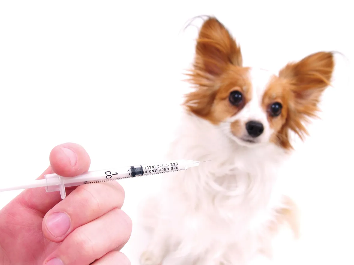 vaccino rabbia