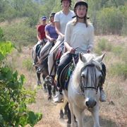 trekking cavallo