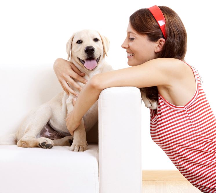 Incontro con cani sequestrati da adottare