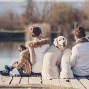 cani e bambini