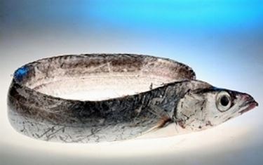 Pesce Spatola